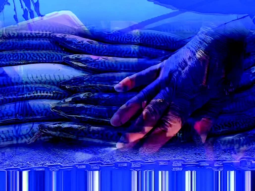 Affiche Vernissage de l'exposition "La solidarité des destins" de Louisa Marajo